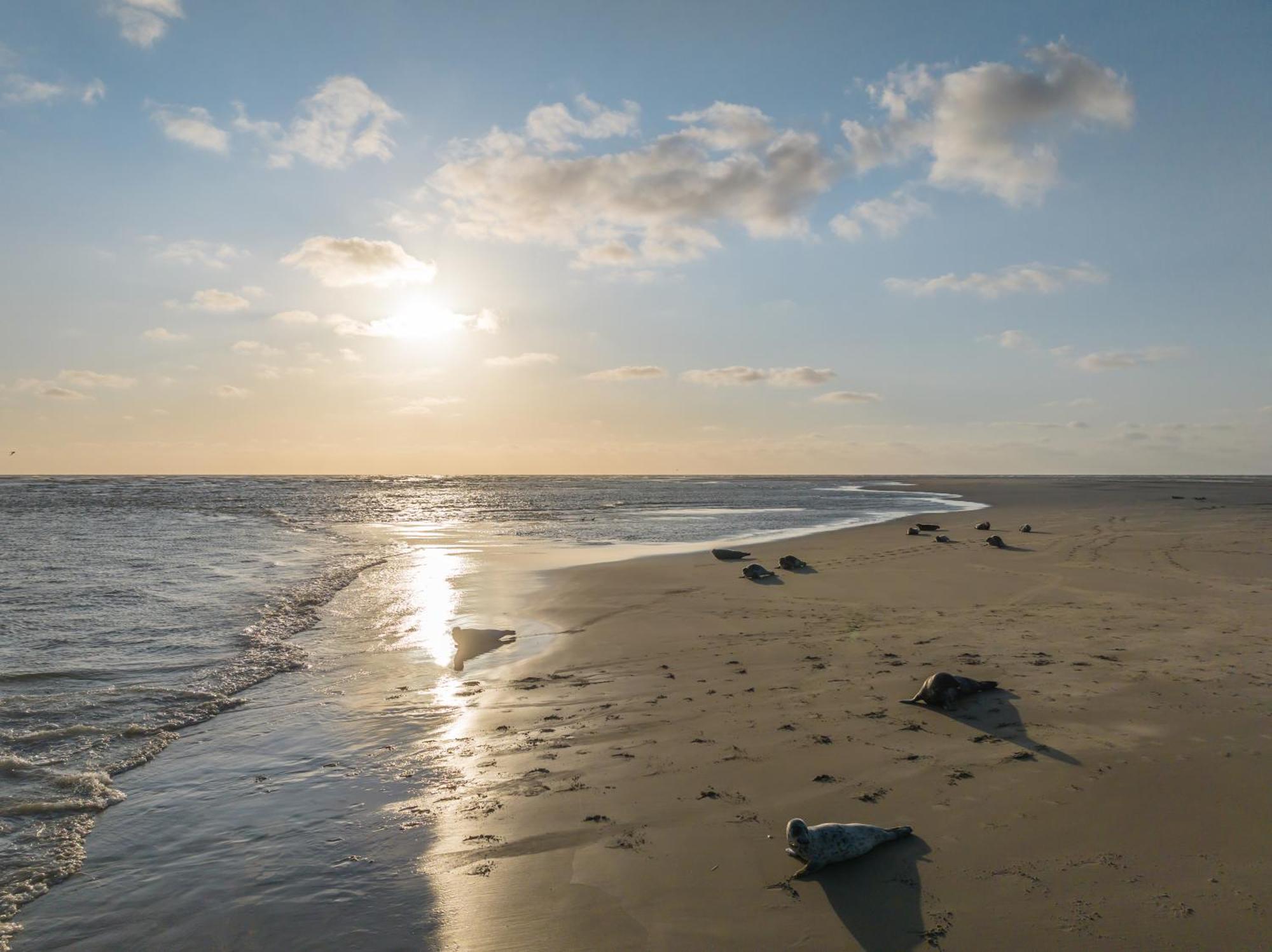 Hotel De Zeeuwse Stromen Renesse Esterno foto
